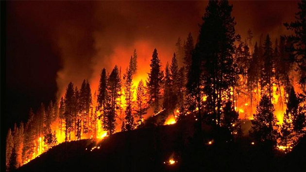 消防知識(shí) 丨 5種火災(zāi)不能用水撲救，你知道嗎？